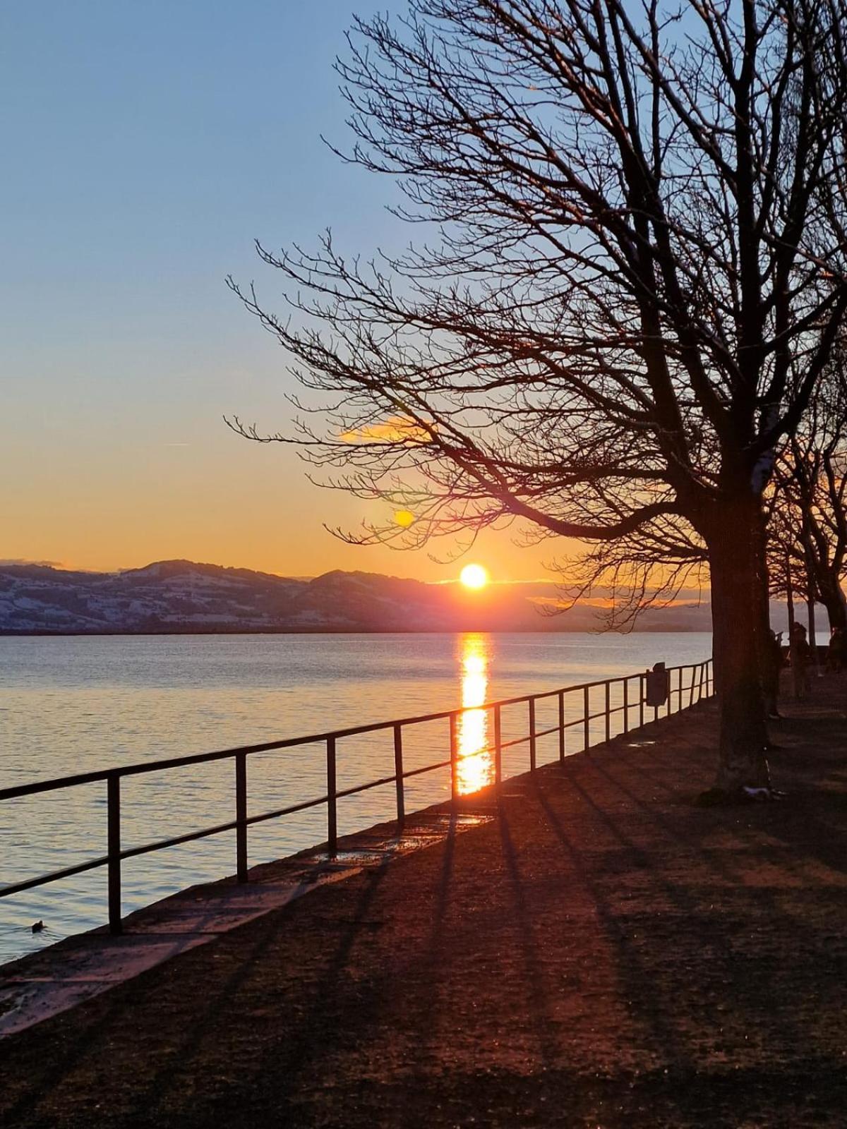 Apartament 24 *