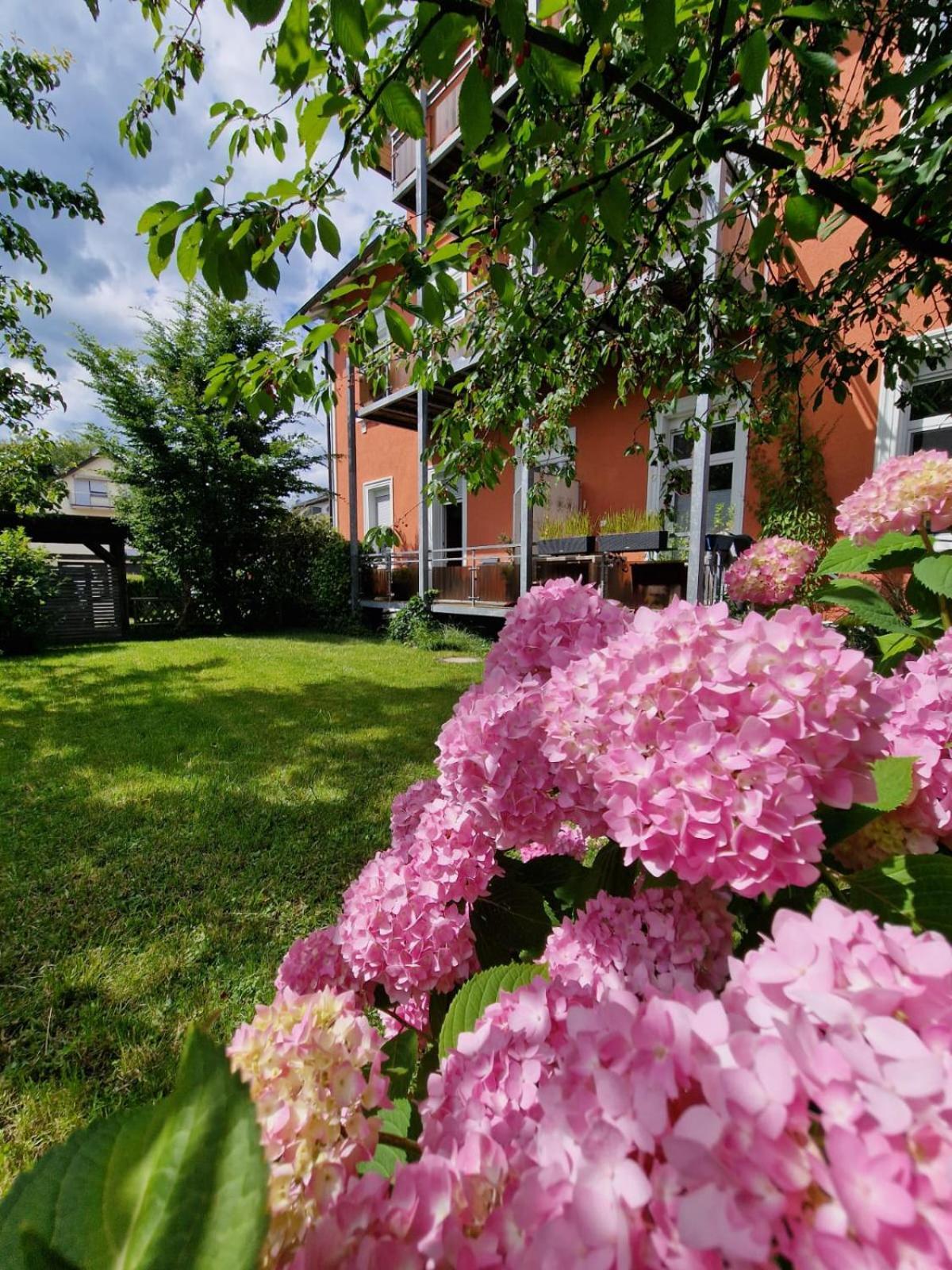 24 * Lindau (Bodensee)